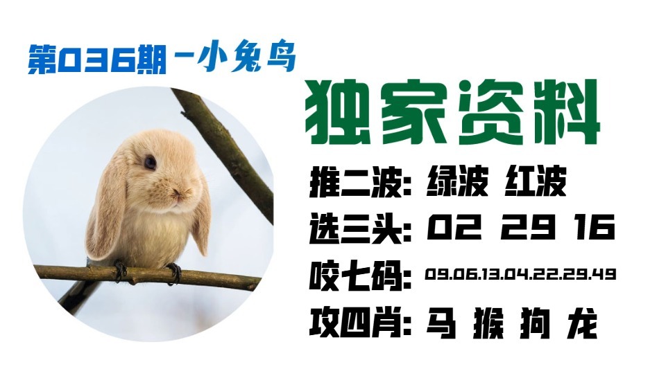 036期小兔鸟[图]